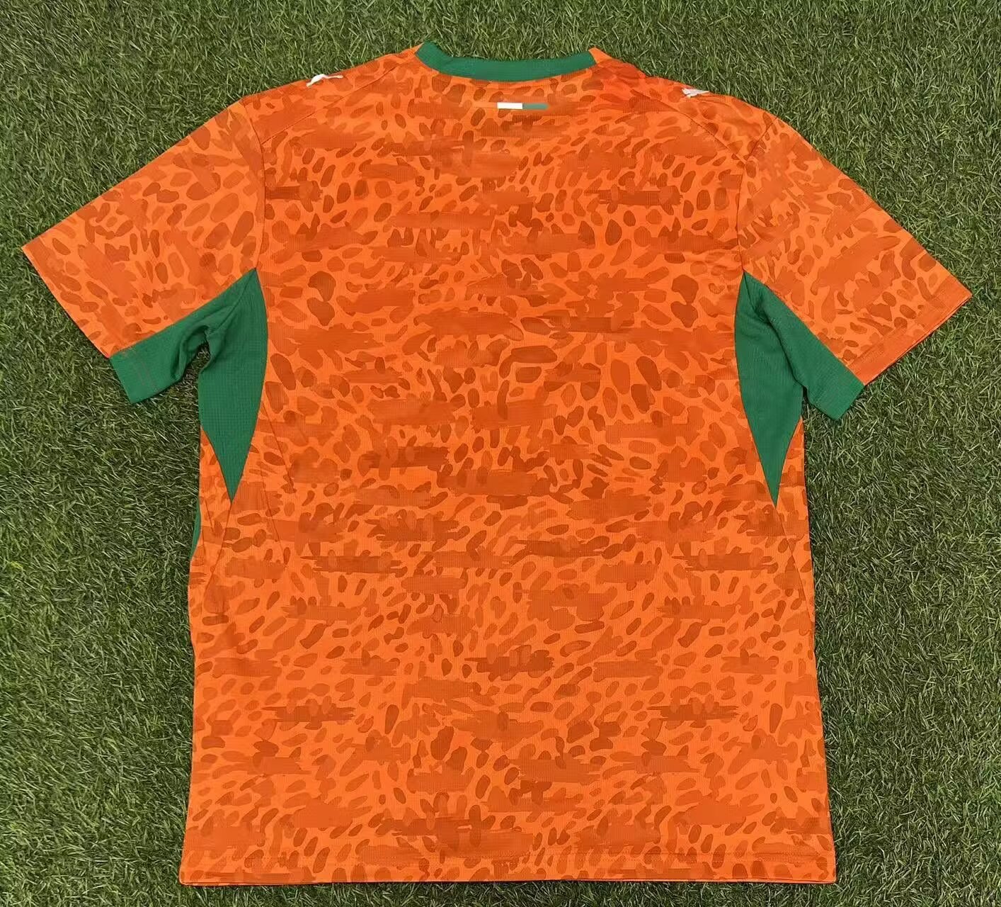 2026 Côte d'Ivoire Home Jersey back
